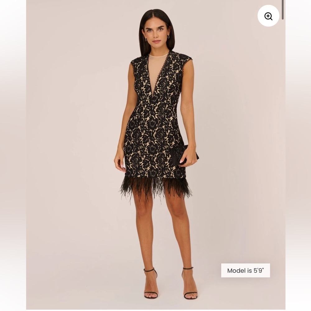 Aidan by Aidan Mattox Cap Sleeve Lace Cocktail Dress with Feather Trim in Black